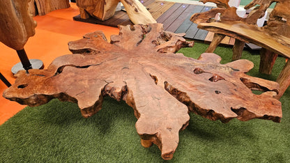 Banc en bois racine massif sculpté, mobilier artisanal en bois naturel aux formes organiques exposé en salon