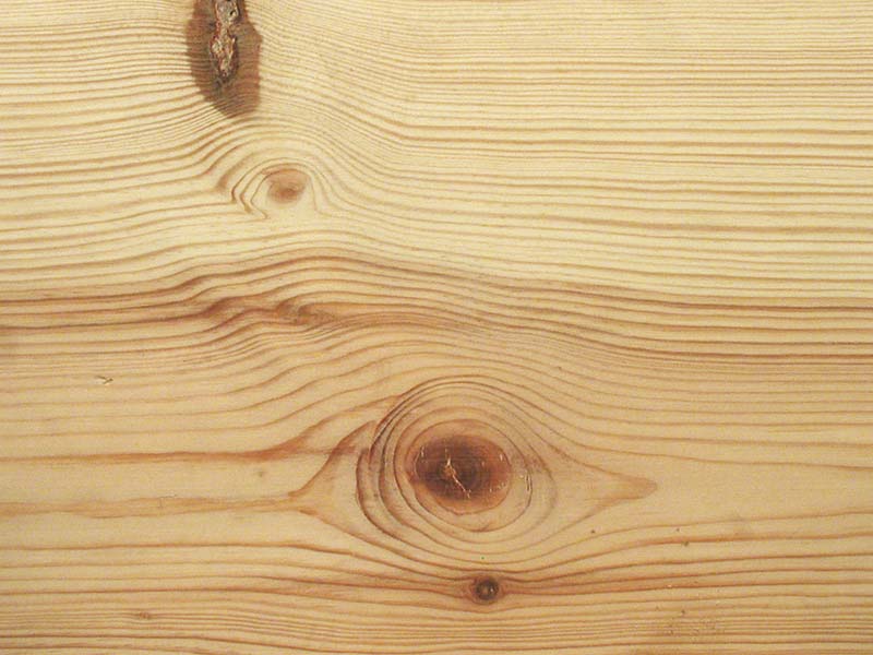 Bois Pin Sylvestre